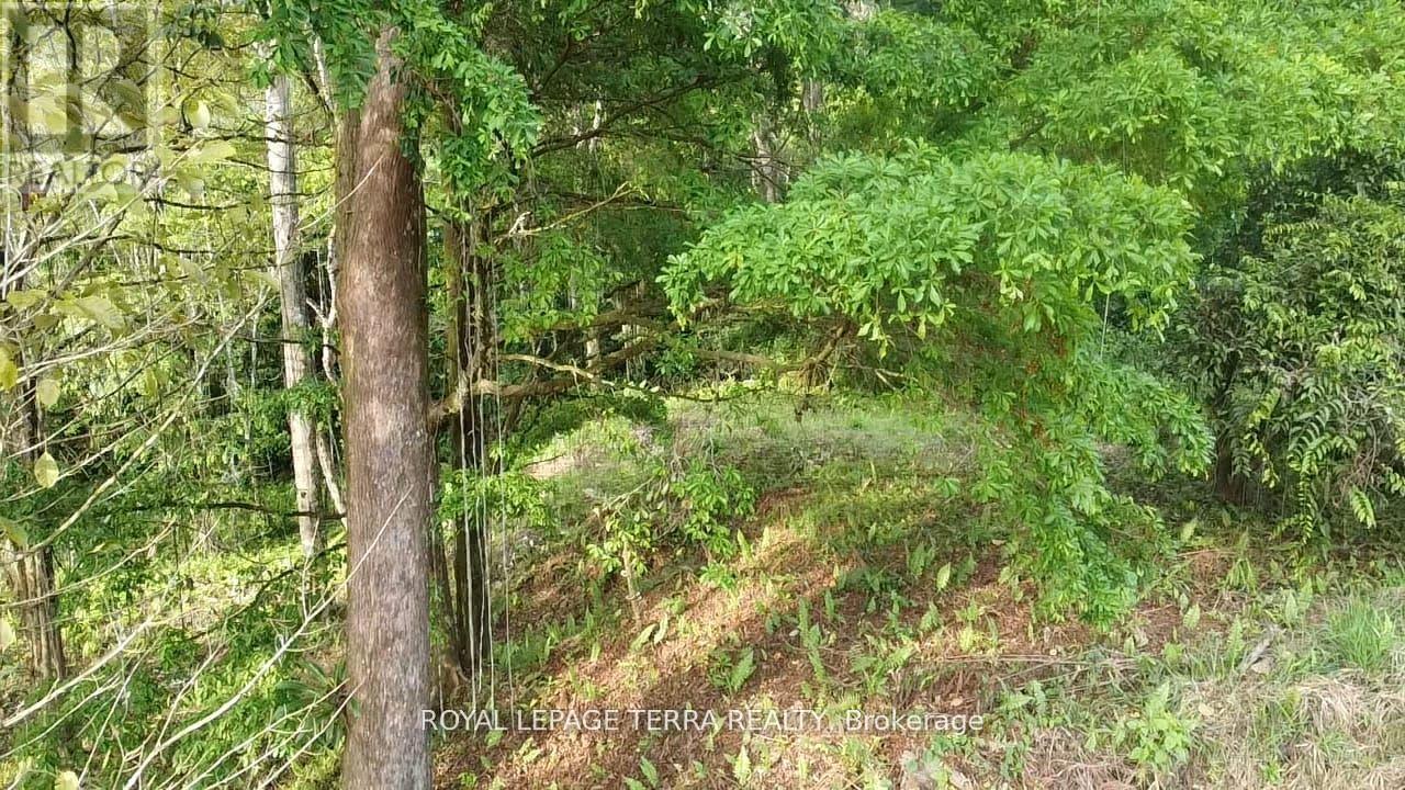 2 AVENIDA PRINCIPLE