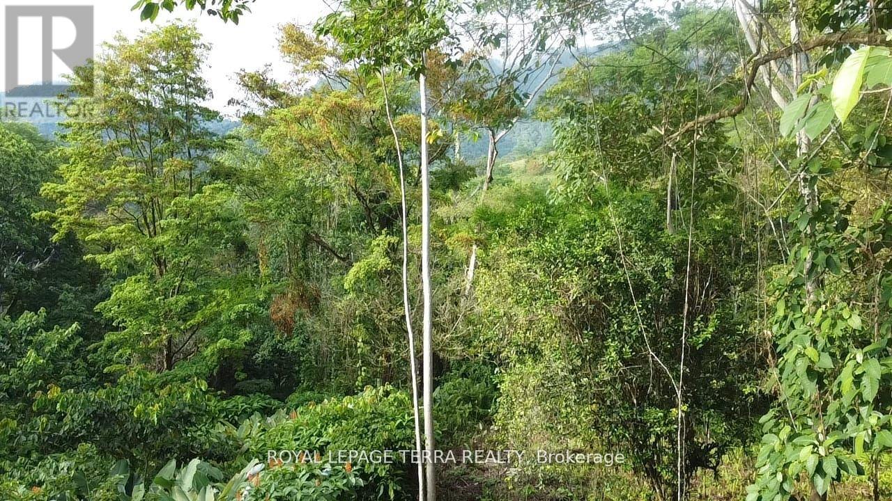 2 AVENIDA PRINCIPLE
