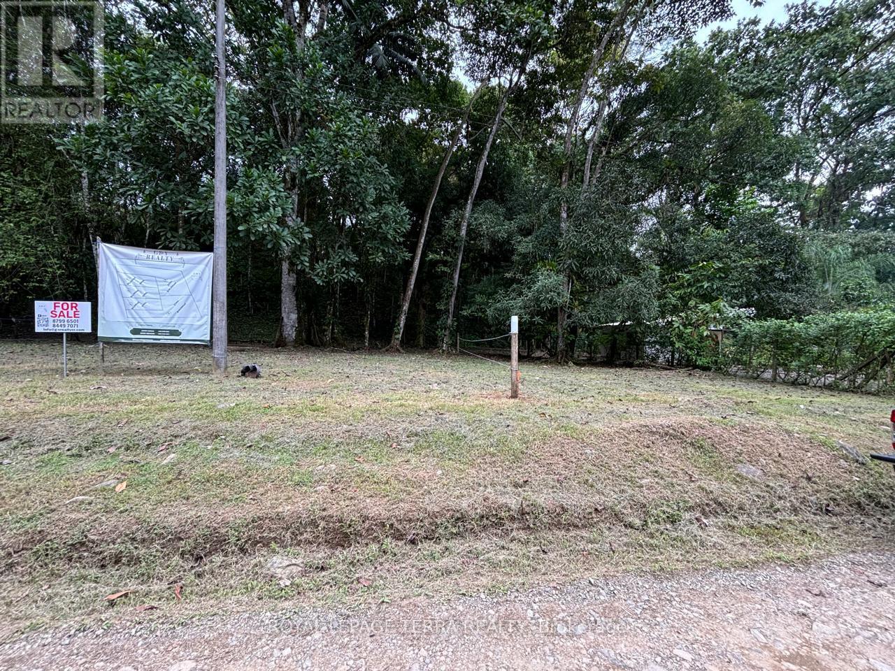 LOT 4 AVENIDA PRINCIPLE