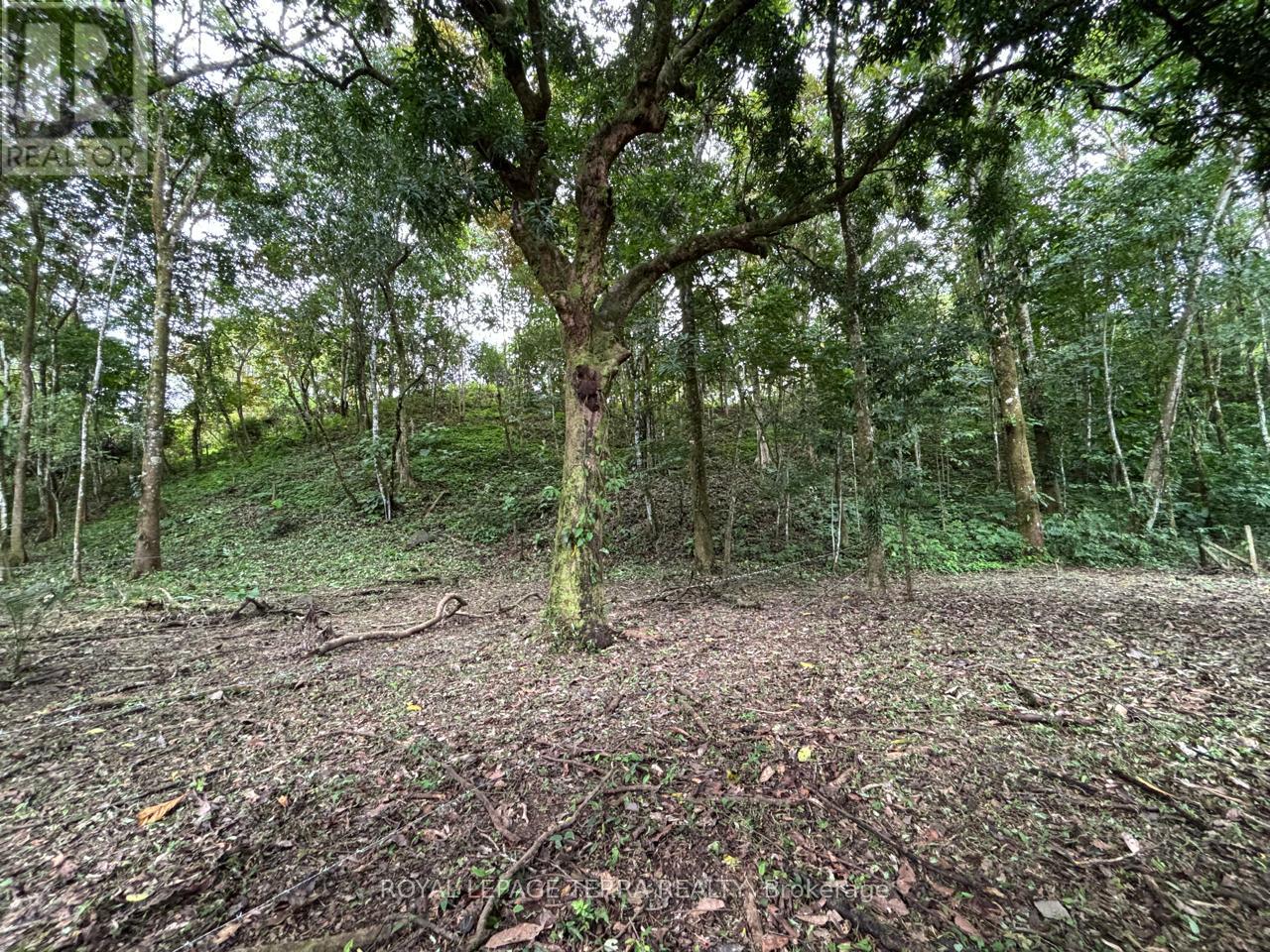 LOT 4 AVENIDA PRINCIPLE