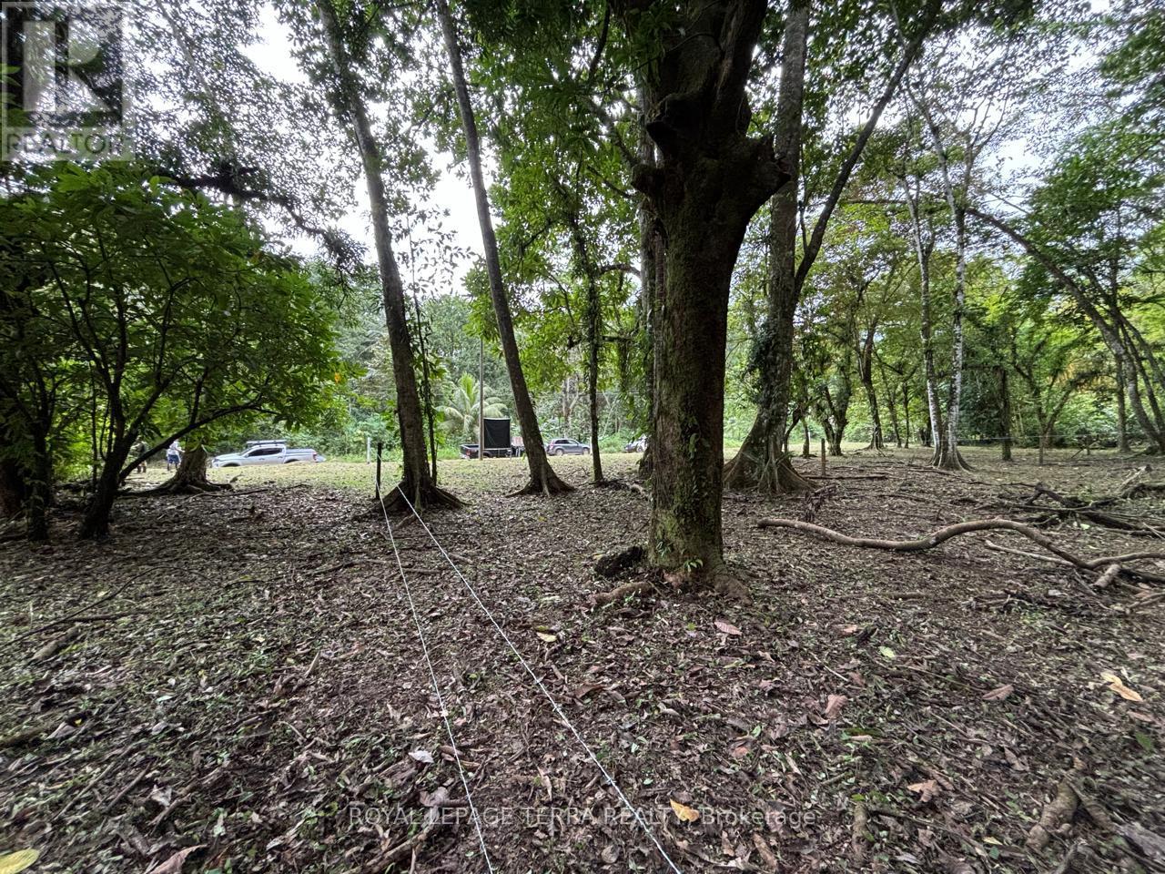 LOT 4 AVENIDA PRINCIPLE
