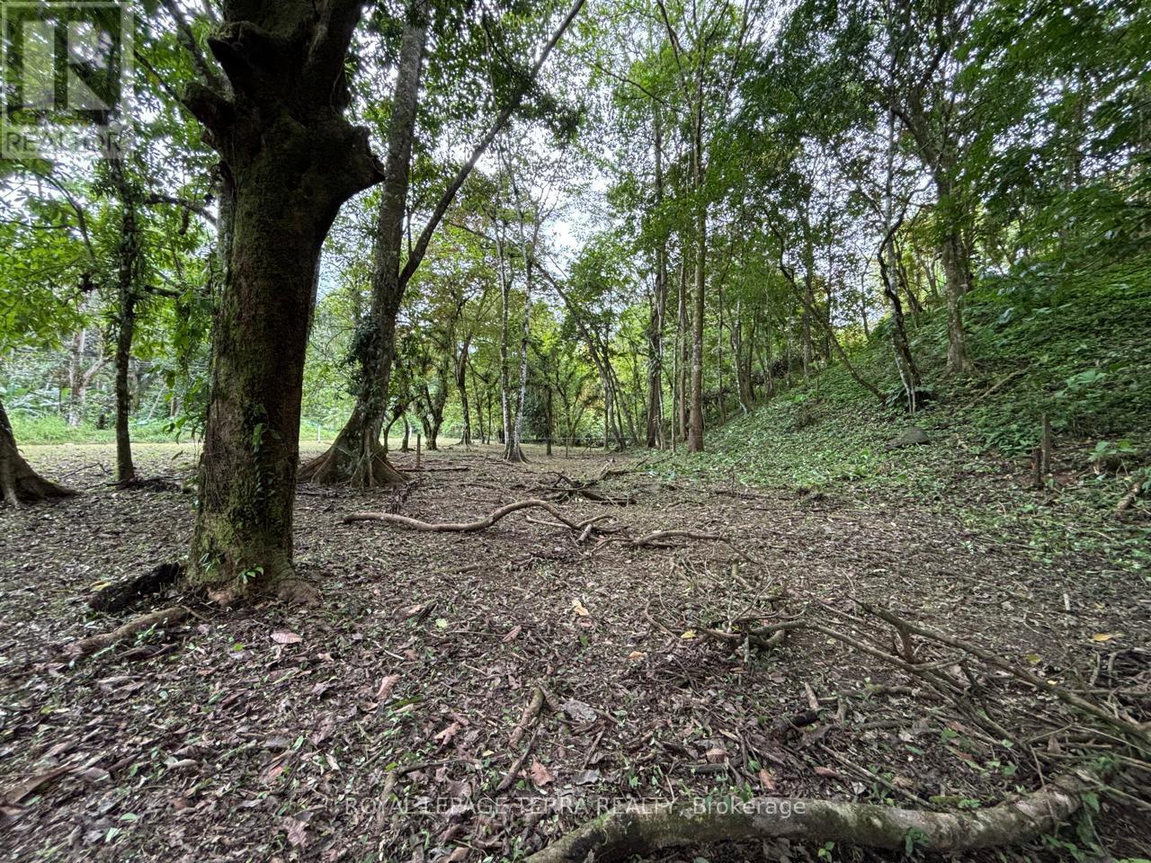 LOT 4 AVENIDA PRINCIPLE