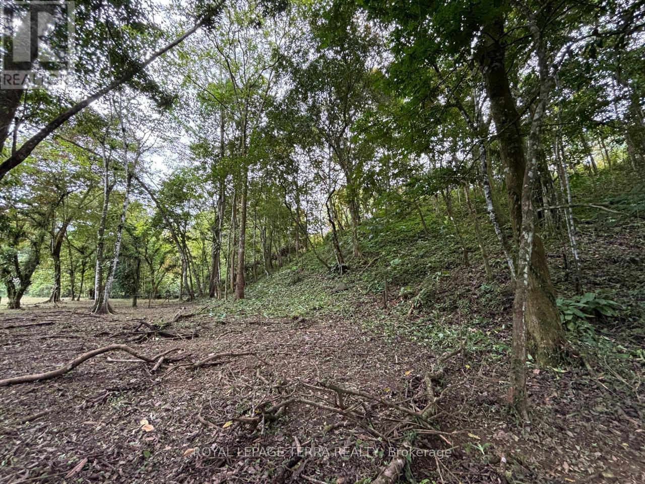 LOT 4 AVENIDA PRINCIPLE