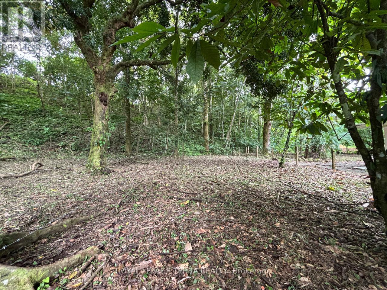 LOT 4 AVENIDA PRINCIPLE