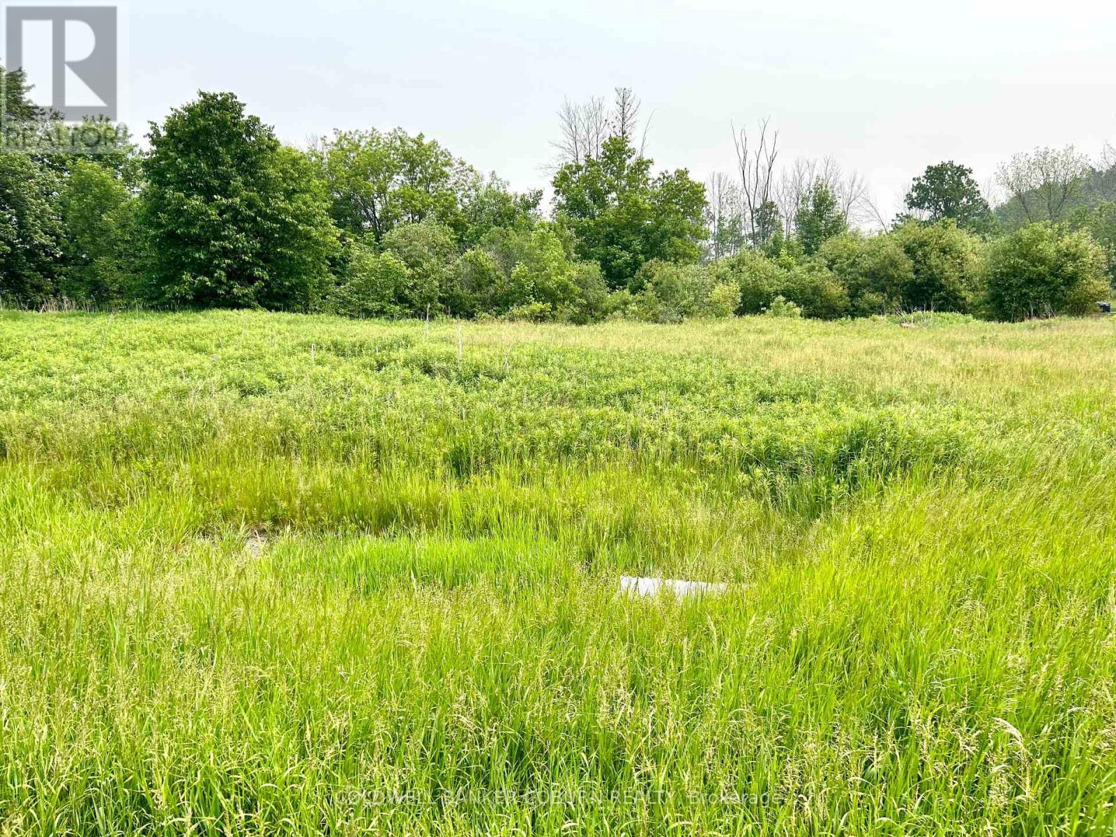 11880 COUNTY ROAD 18 ROAD