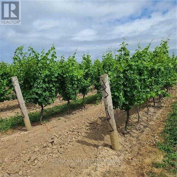 1074 NIAGARA STONE ROAD