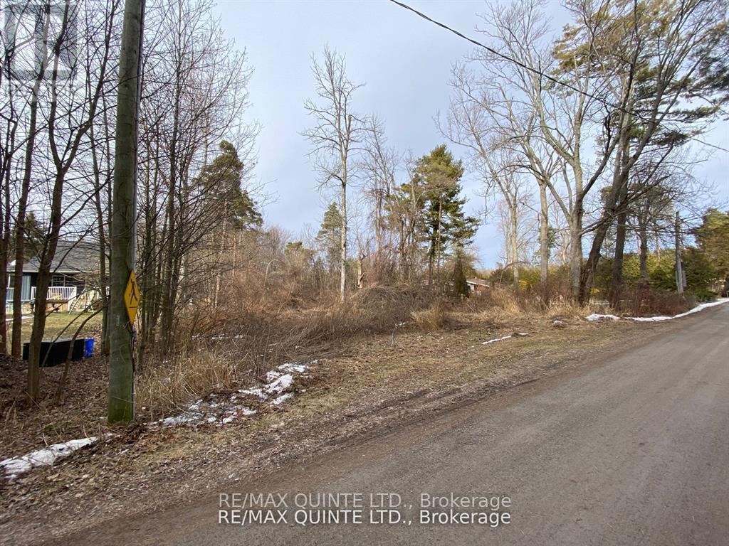 149 EVERGREEN LANE