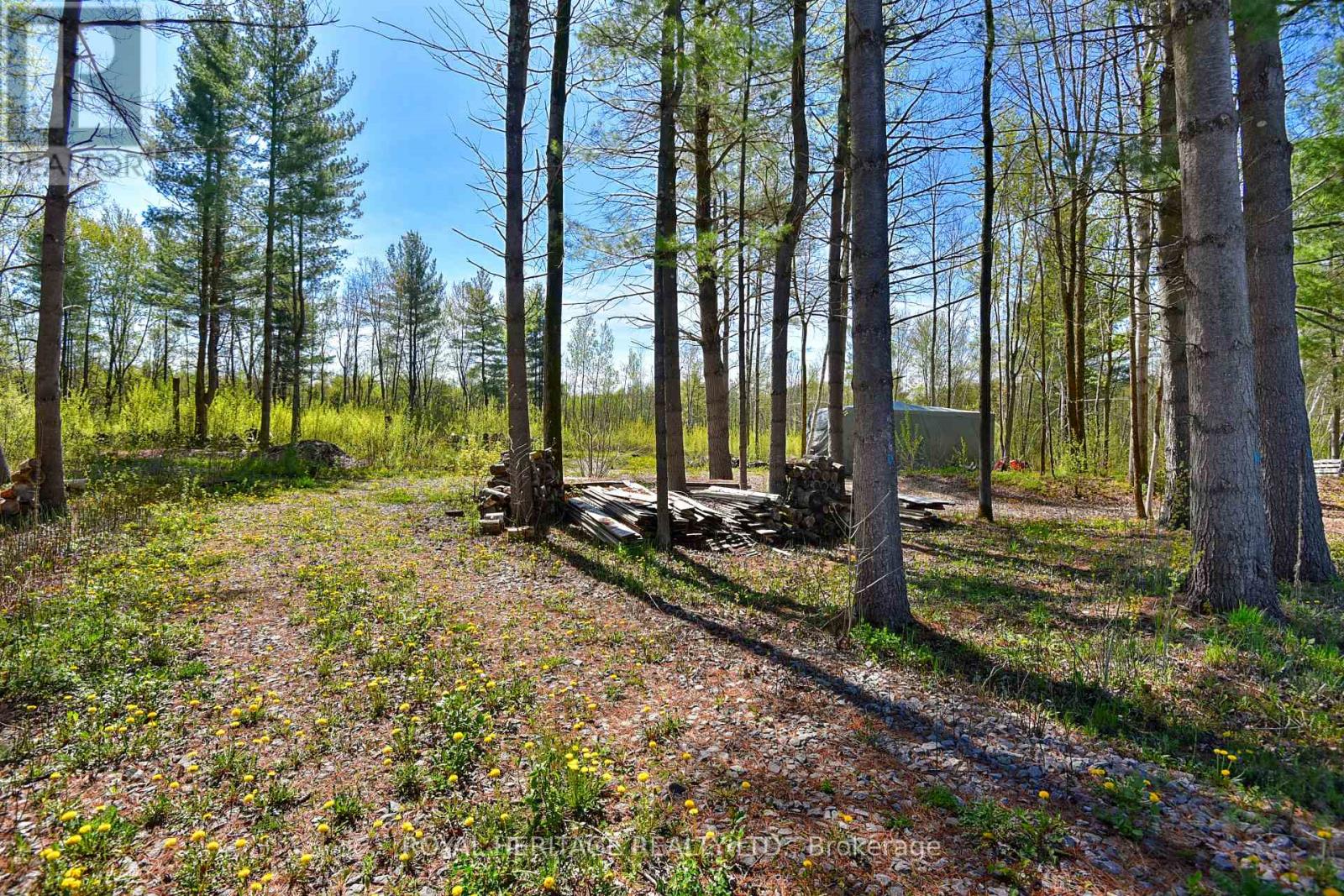 2449 ROONEY ROAD E