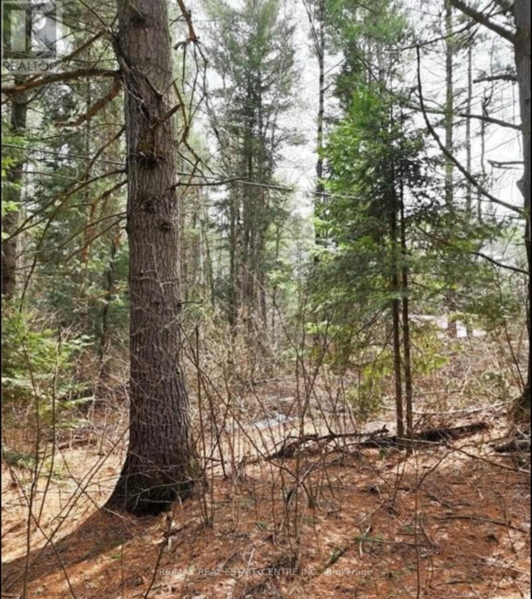 107 BALSAM CHUTES ROAD