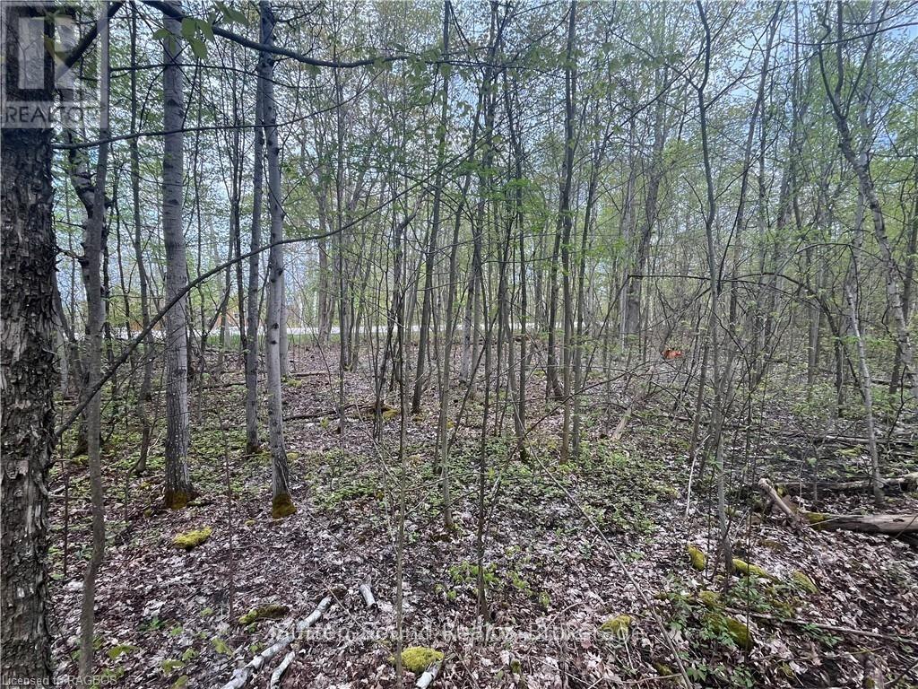 LOT 5 GREY  ROAD 1
