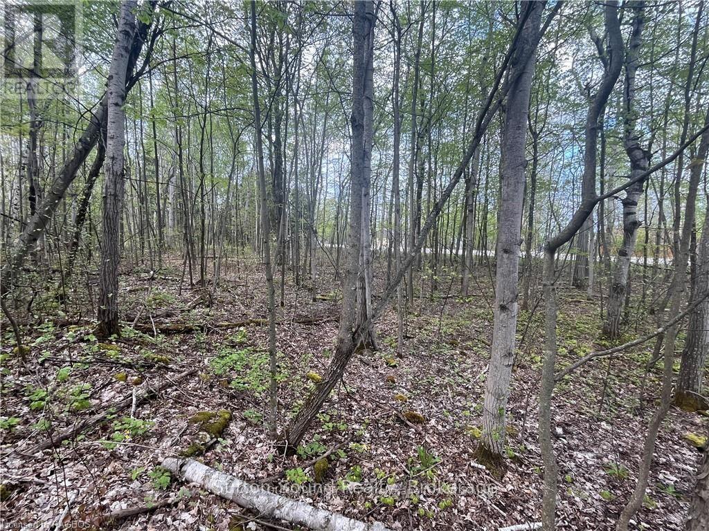LOT 5 GREY  ROAD 1