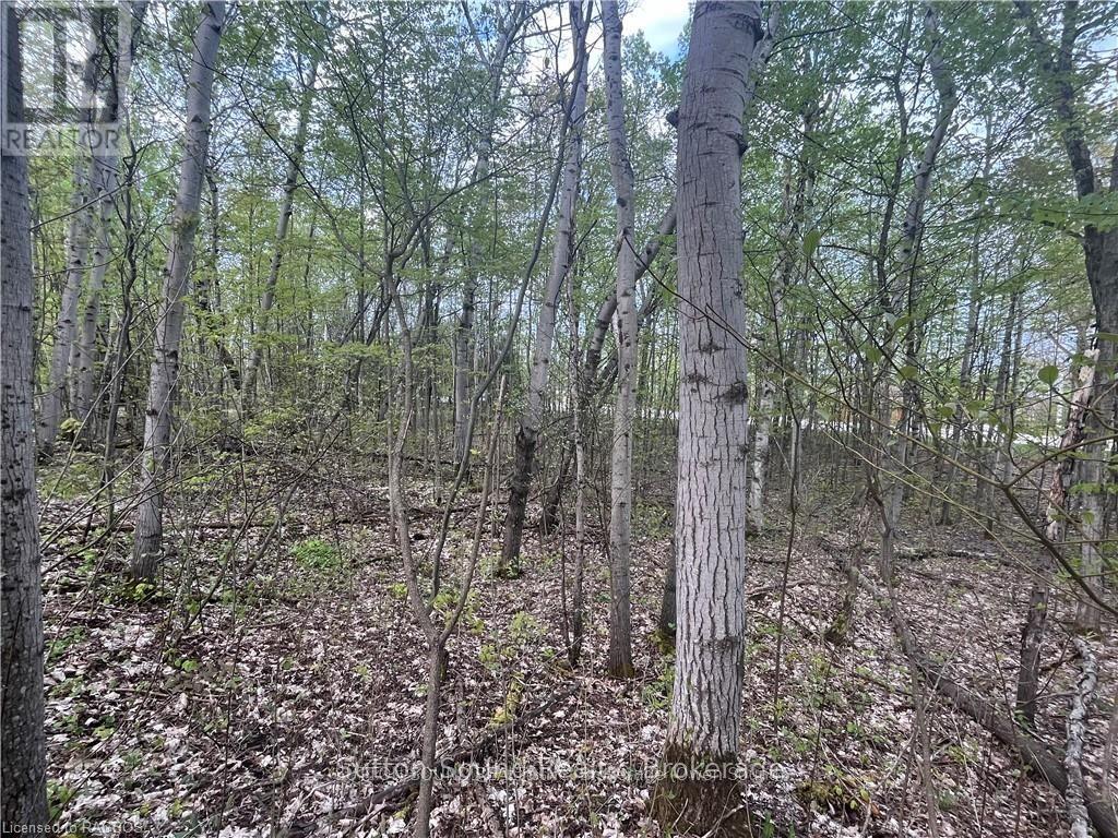 LOT 6 GREY ROAD 1