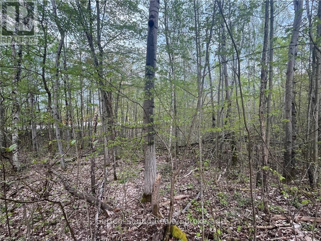 LOT 6 GREY ROAD 1