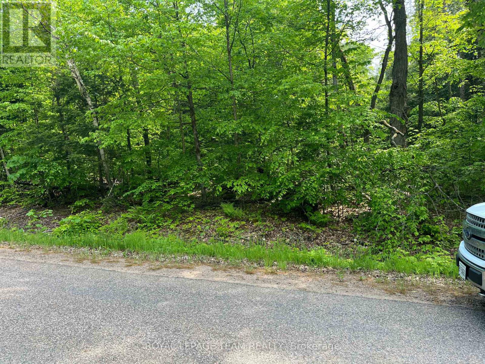 387 SUNNY HILL ROAD