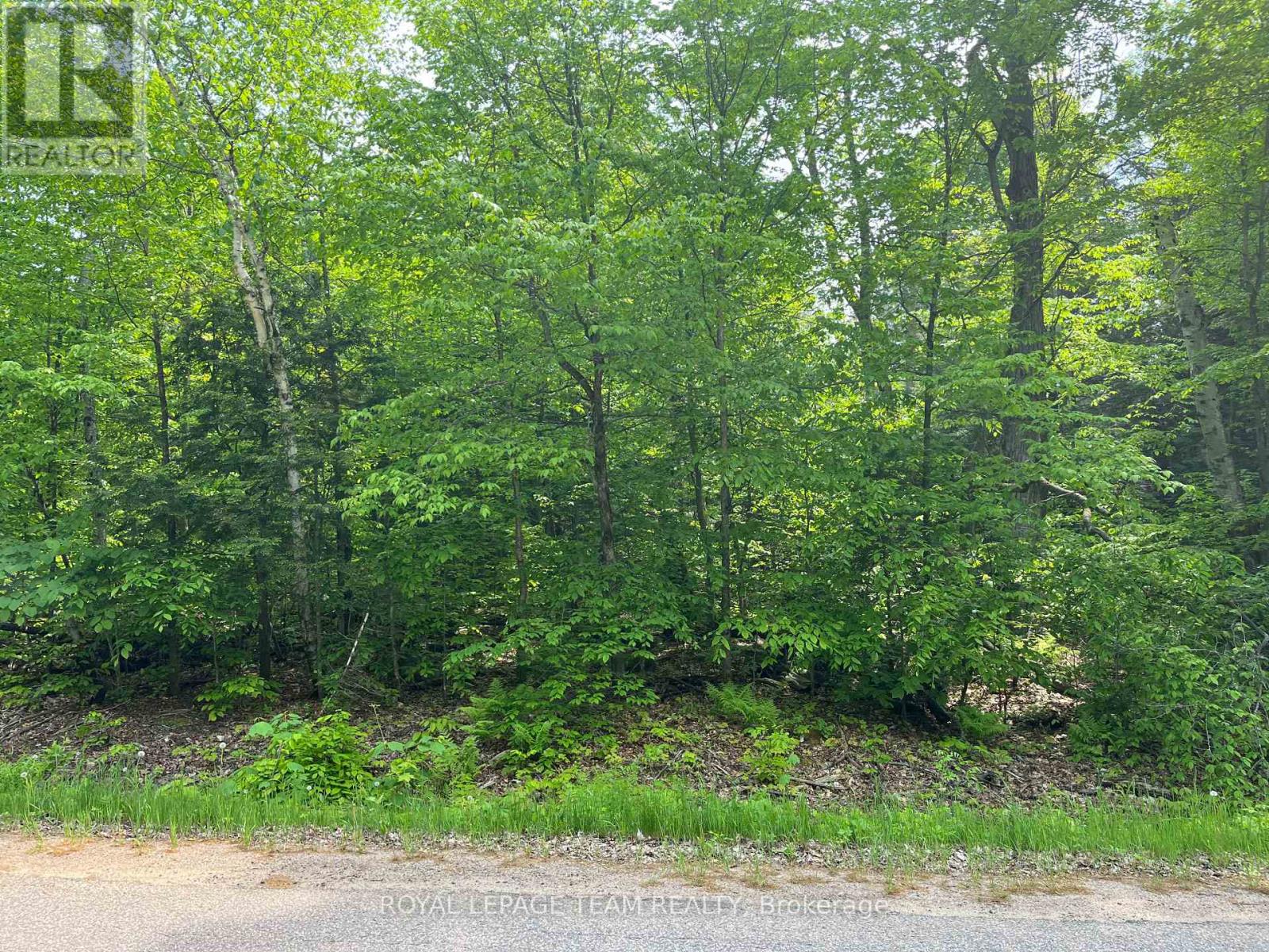 387 SUNNY HILL ROAD