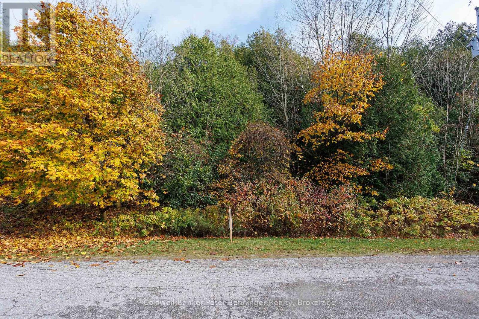 LT 17 PL 594 COURTNEY COURT S