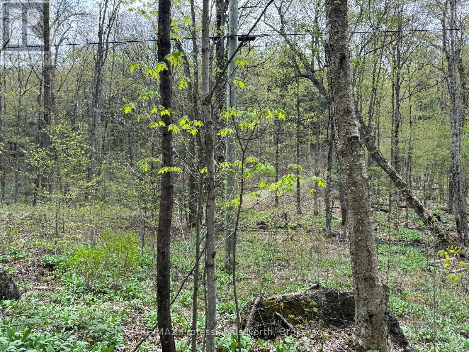 LOT 166 GLEN LAKE COURT
