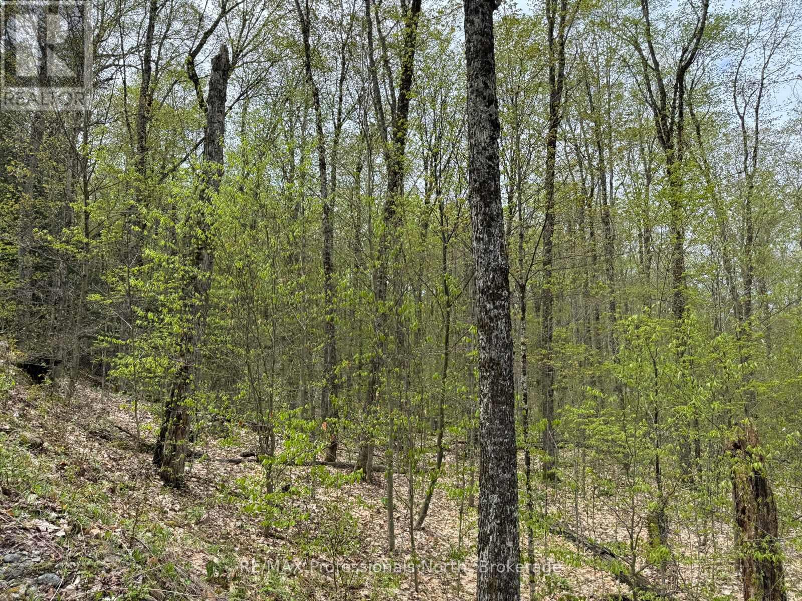 LOT 166 GLEN LAKE COURT