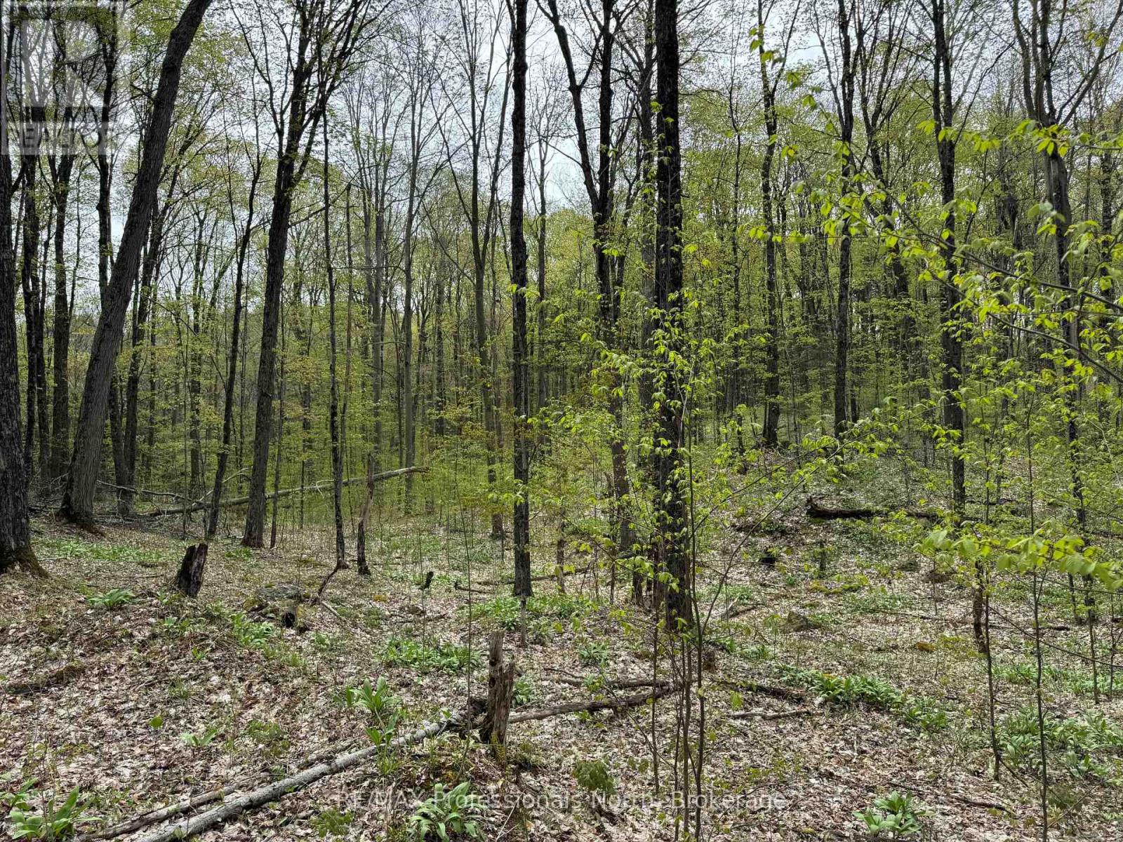 LOT 165 GLEN LAKE COURT