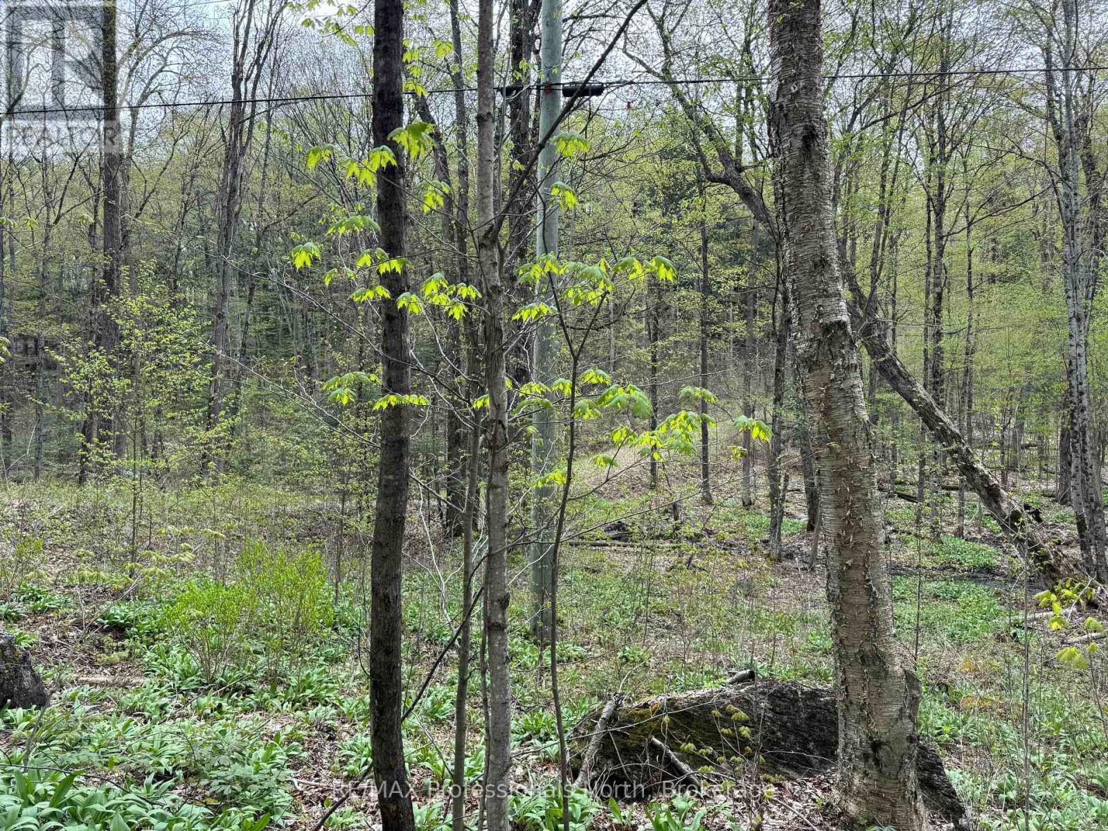 LOT 165 GLEN LAKE COURT