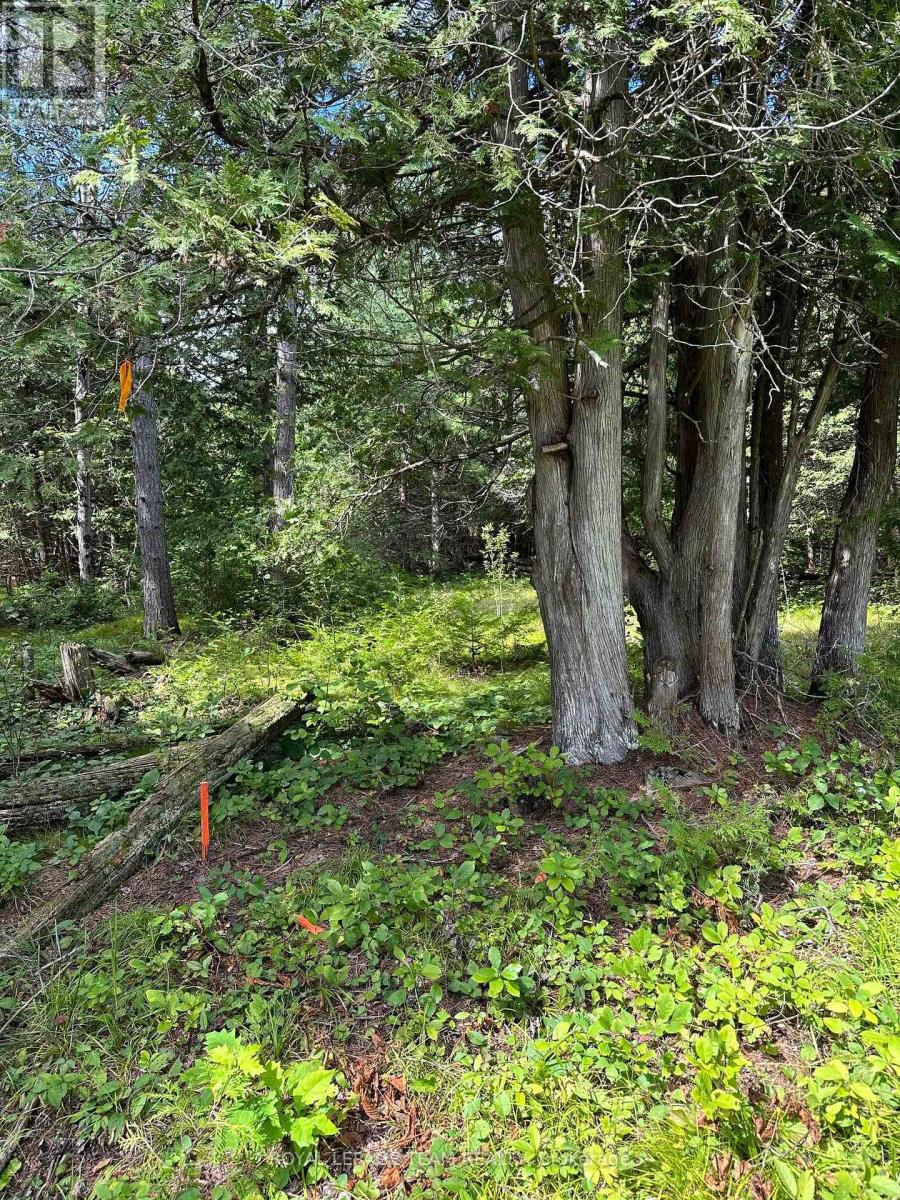 LOT 23 DWYER HILL ROAD