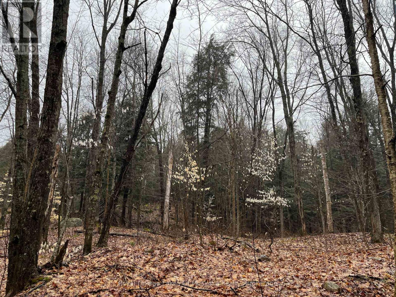 LOT 90 LOOKOUT POINT ROAD