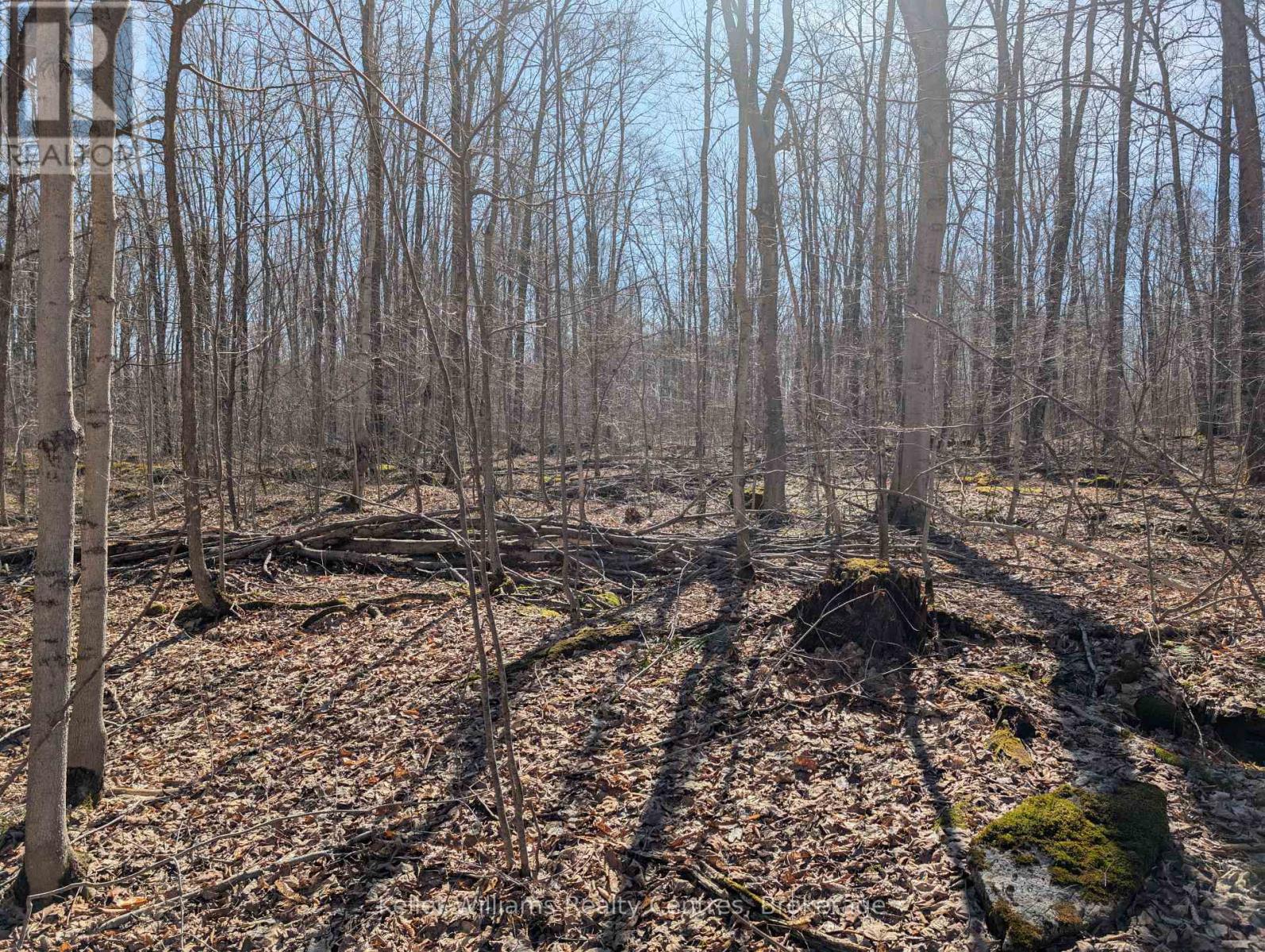 463176 CONCESSION 24 ACRES S