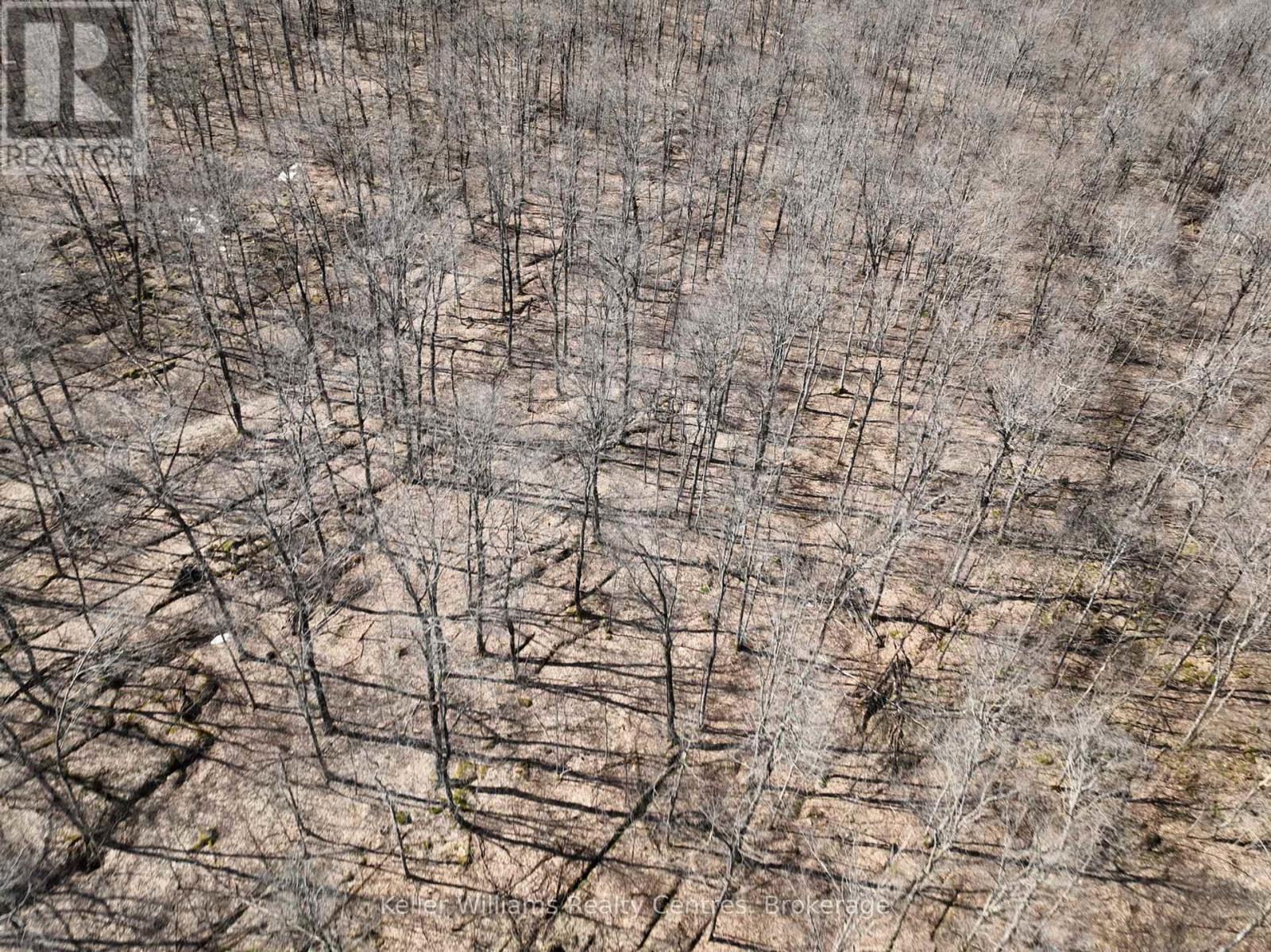 463176 CONCESSION 24 ACRES S