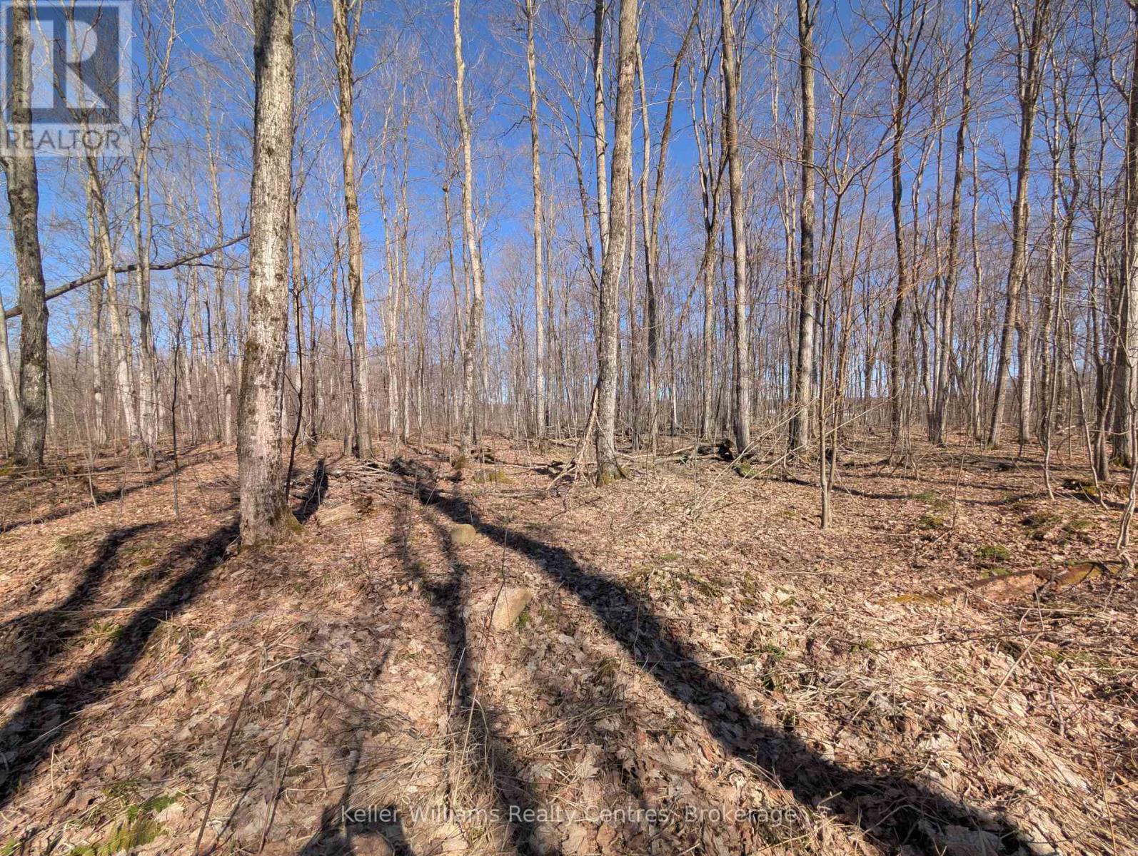 463176 CONCESSION 24 ACRES S