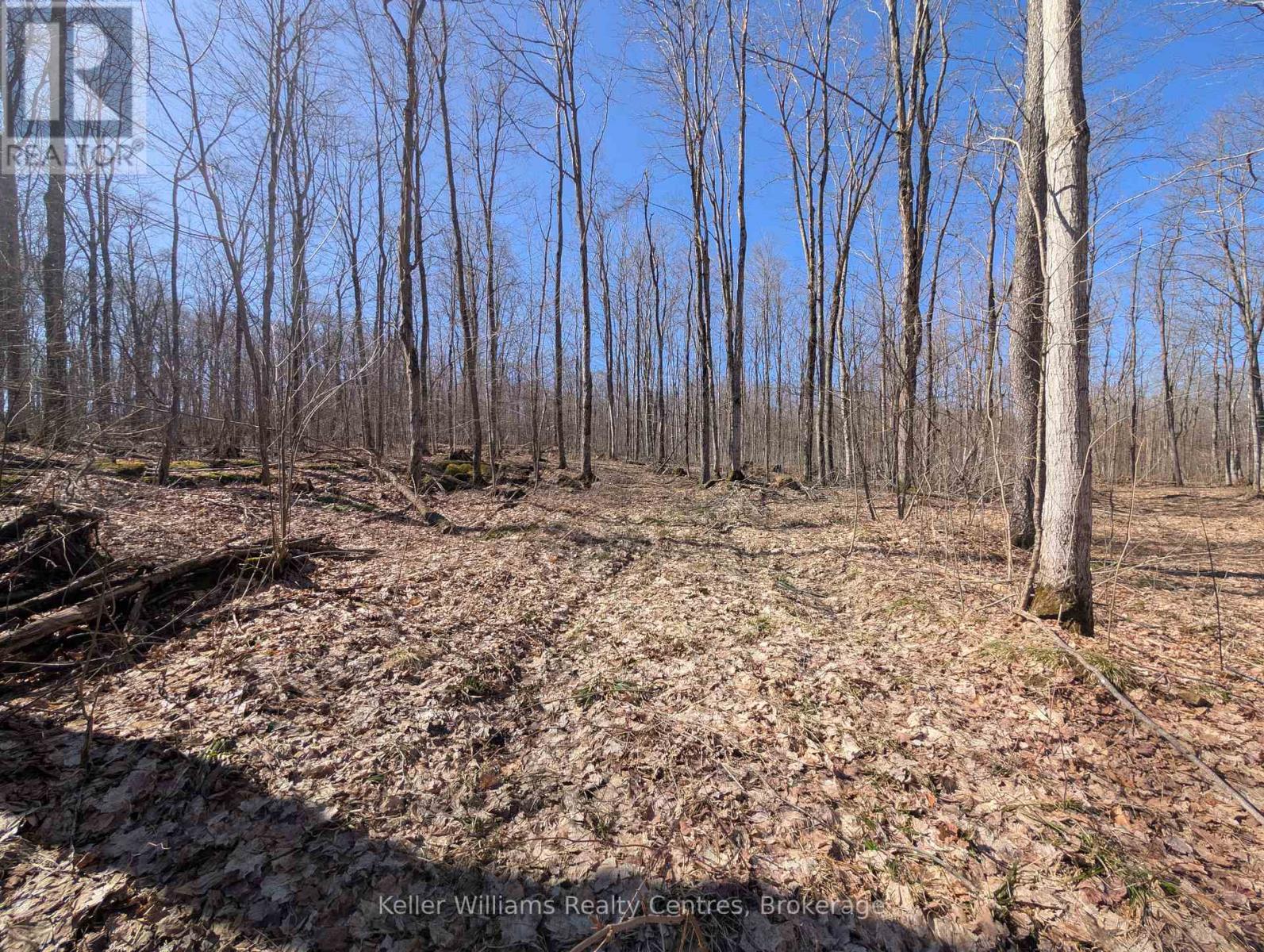 463176 CONCESSION 24 ACRES S