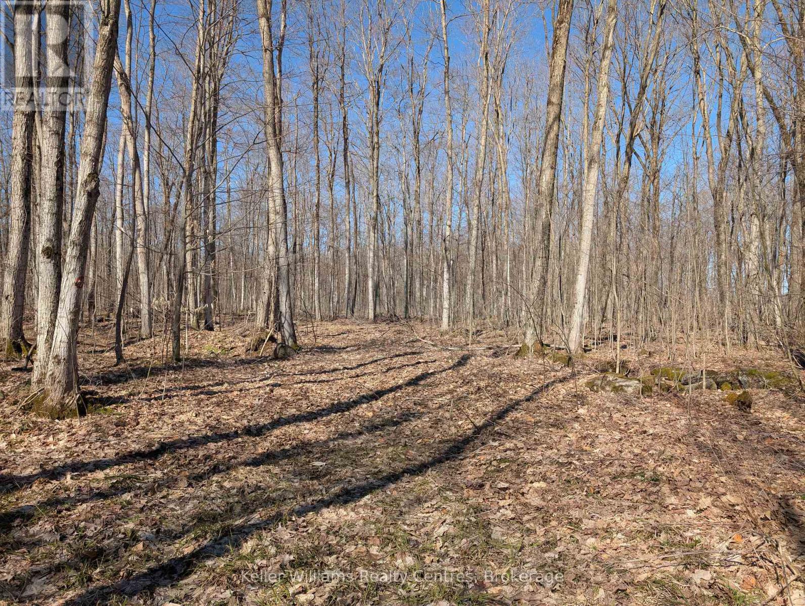 463176 CONCESSION 24 ACRES S
