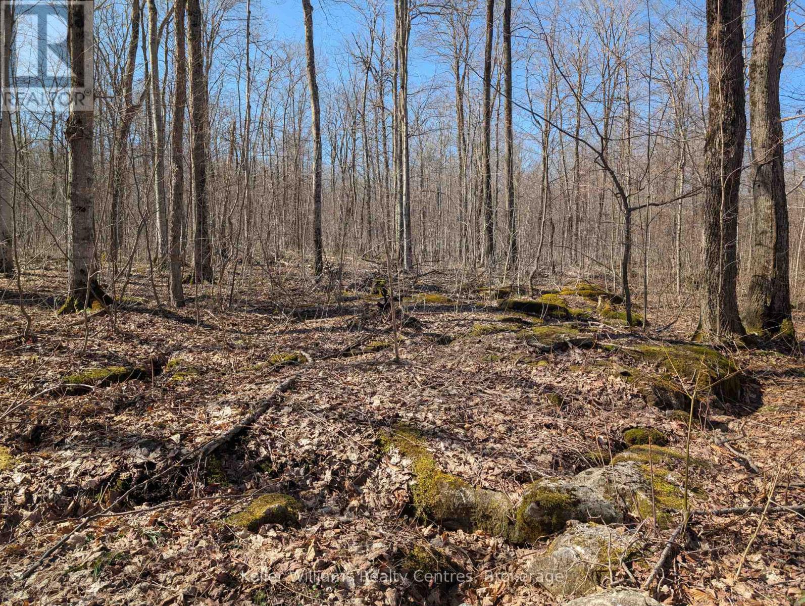 463176 CONCESSION 24 ACRES S