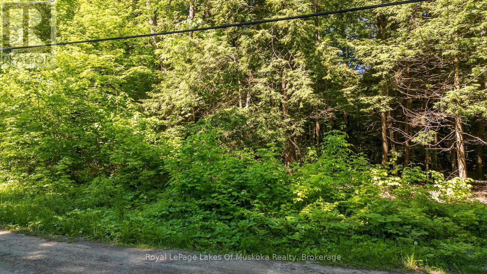 1061 SOUTH MULDREW LAKE ROAD