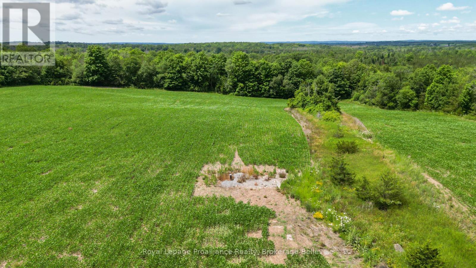 0 SHANNONVILLE ROAD