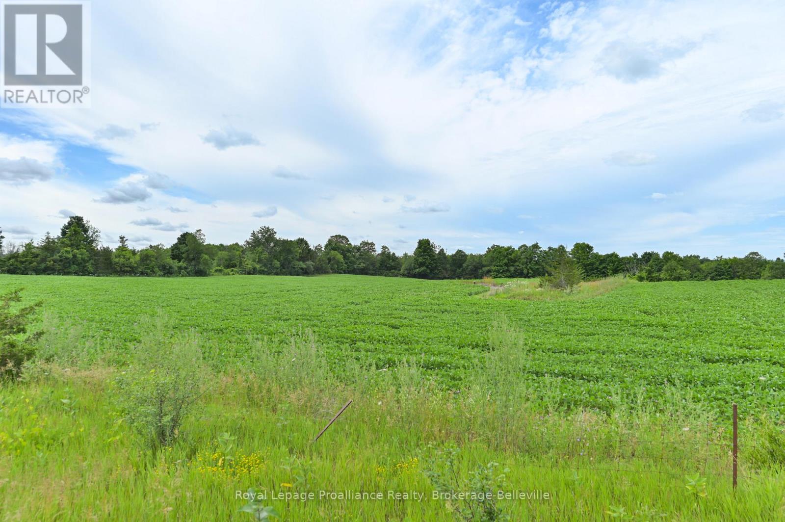 0 SHANNONVILLE ROAD