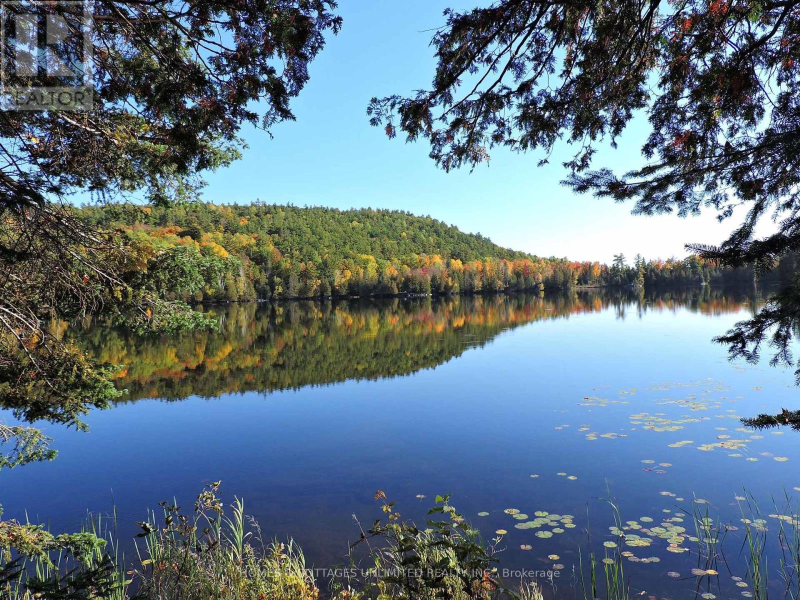 2600 CLYDE LAKE ROAD W