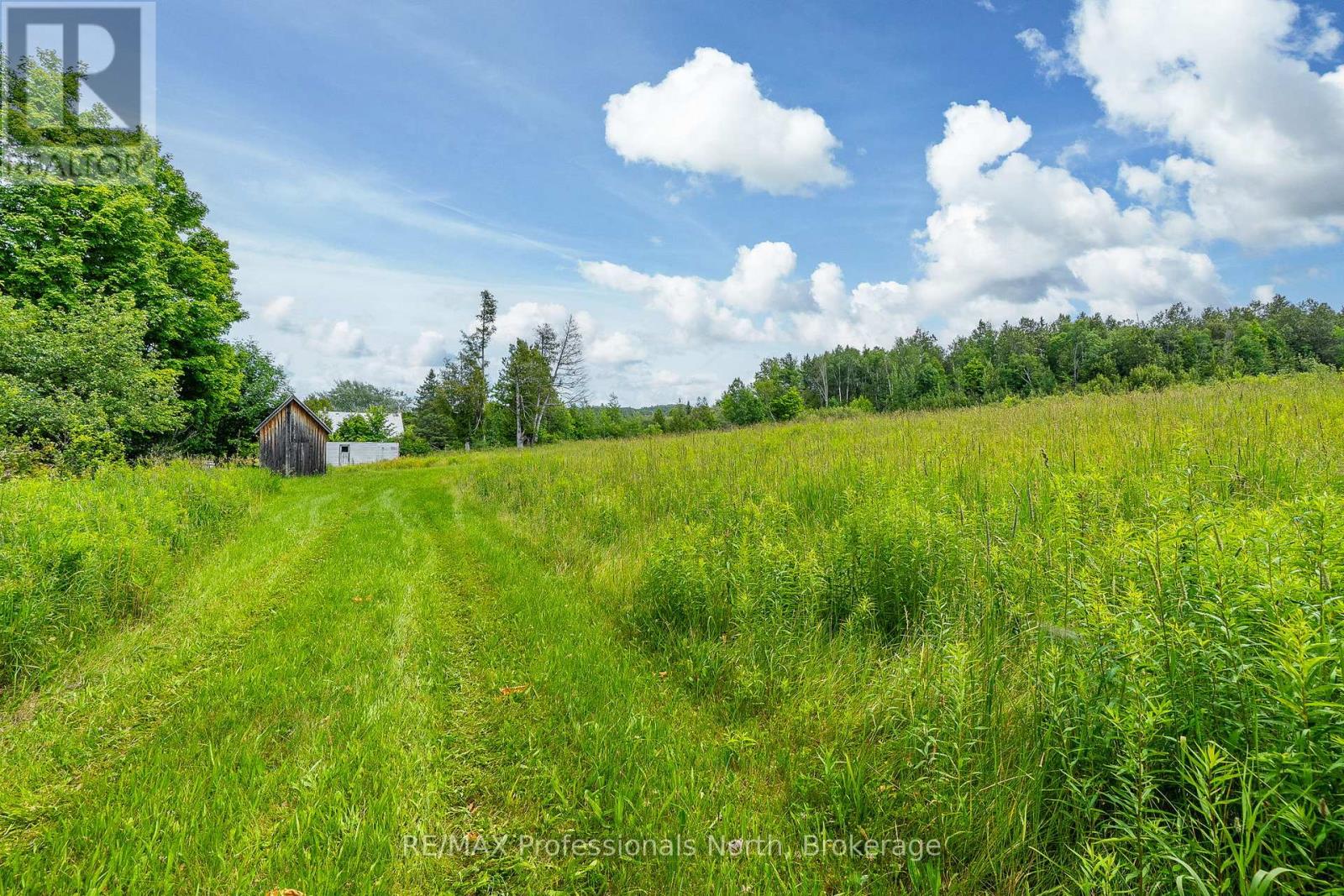 817 SCHUTT ROAD