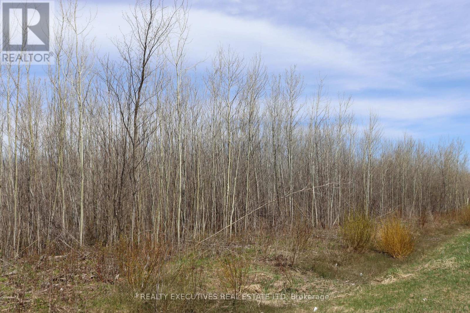 15905 CONCESSION 2-3 ROAD