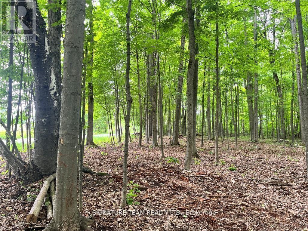 LOT 2 POINT ROAD