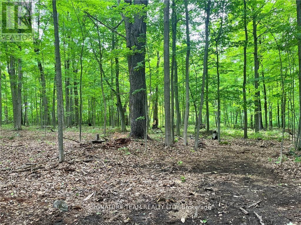 LOT 2 POINT ROAD