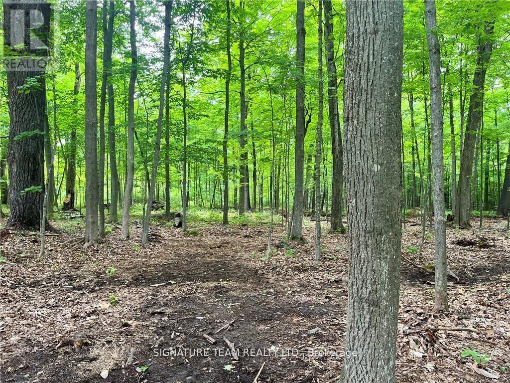 LOT 2 POINT ROAD