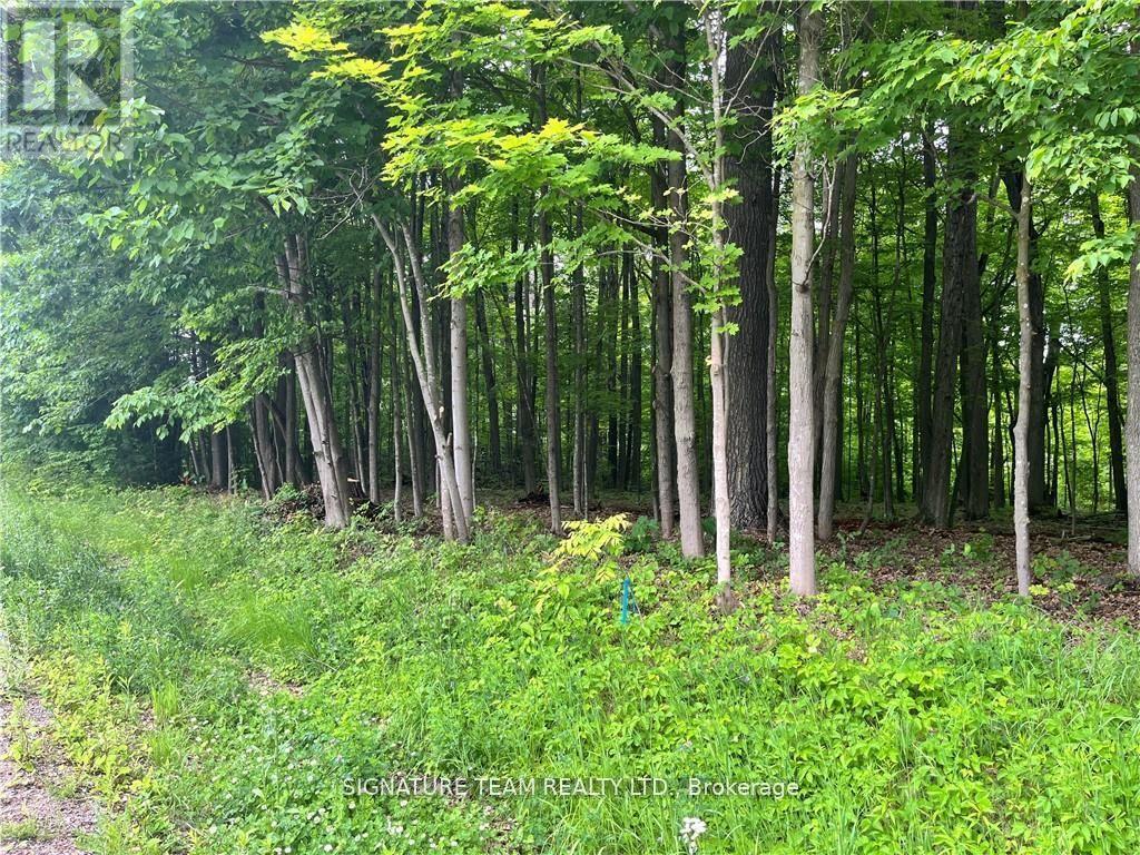 LOT 2 POINT ROAD