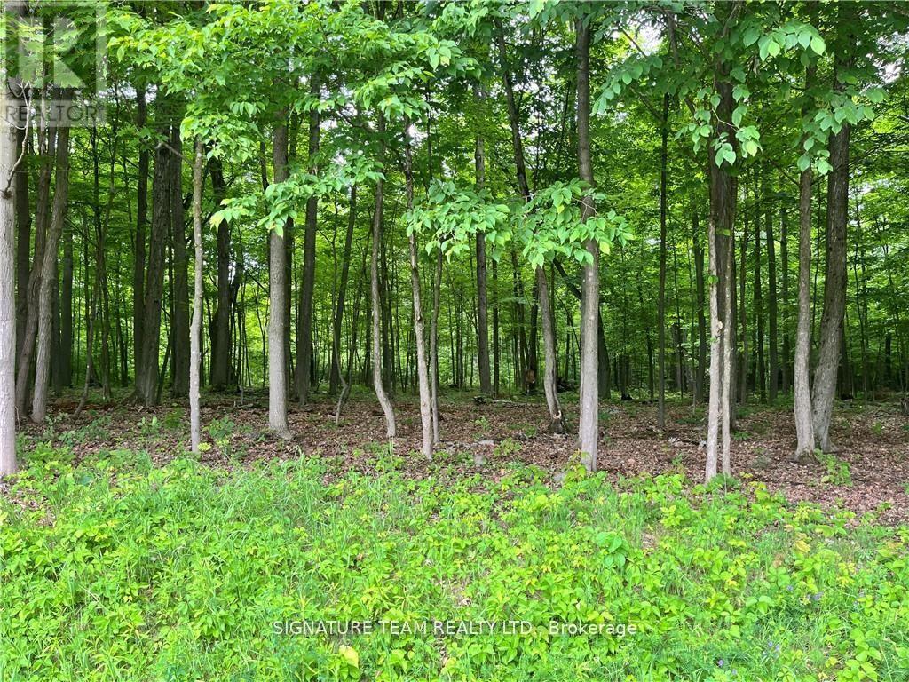 LOT 2 POINT ROAD
