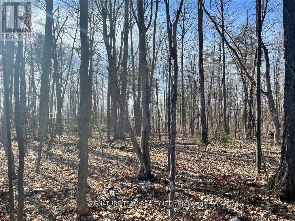 LOT 2 POINT ROAD