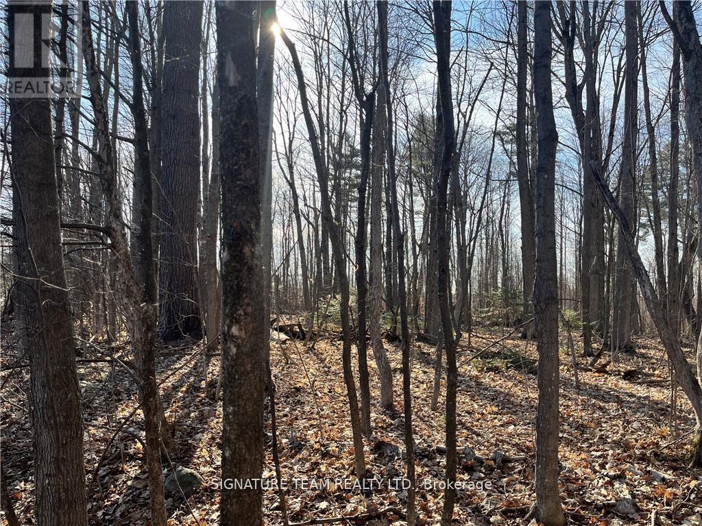 LOT 2 POINT ROAD