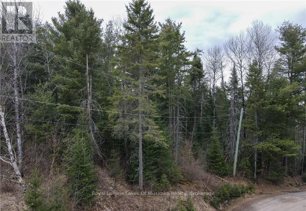 00 OLD MUSKOKA ROAD