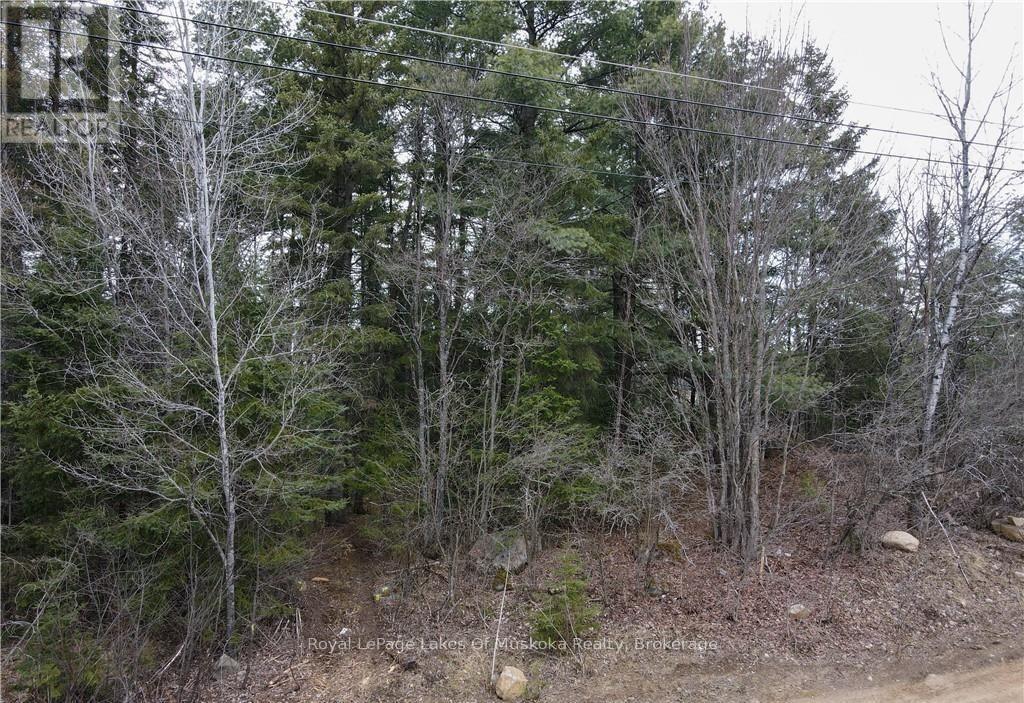00 OLD MUSKOKA ROAD