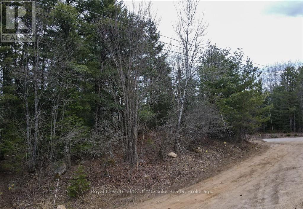 00 OLD MUSKOKA ROAD