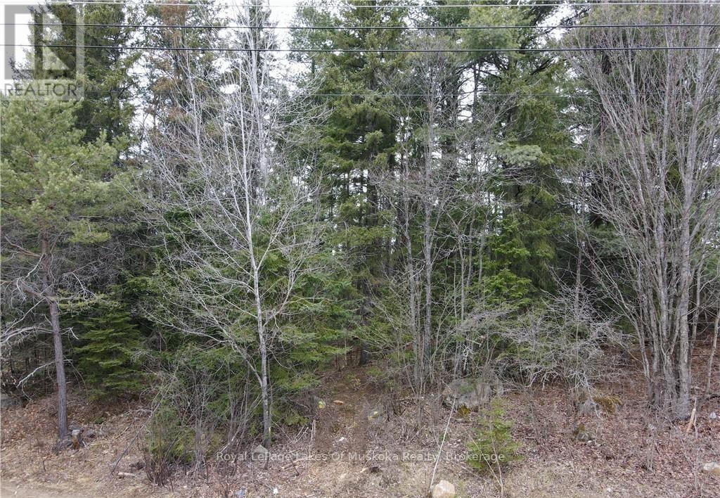 00 OLD MUSKOKA ROAD