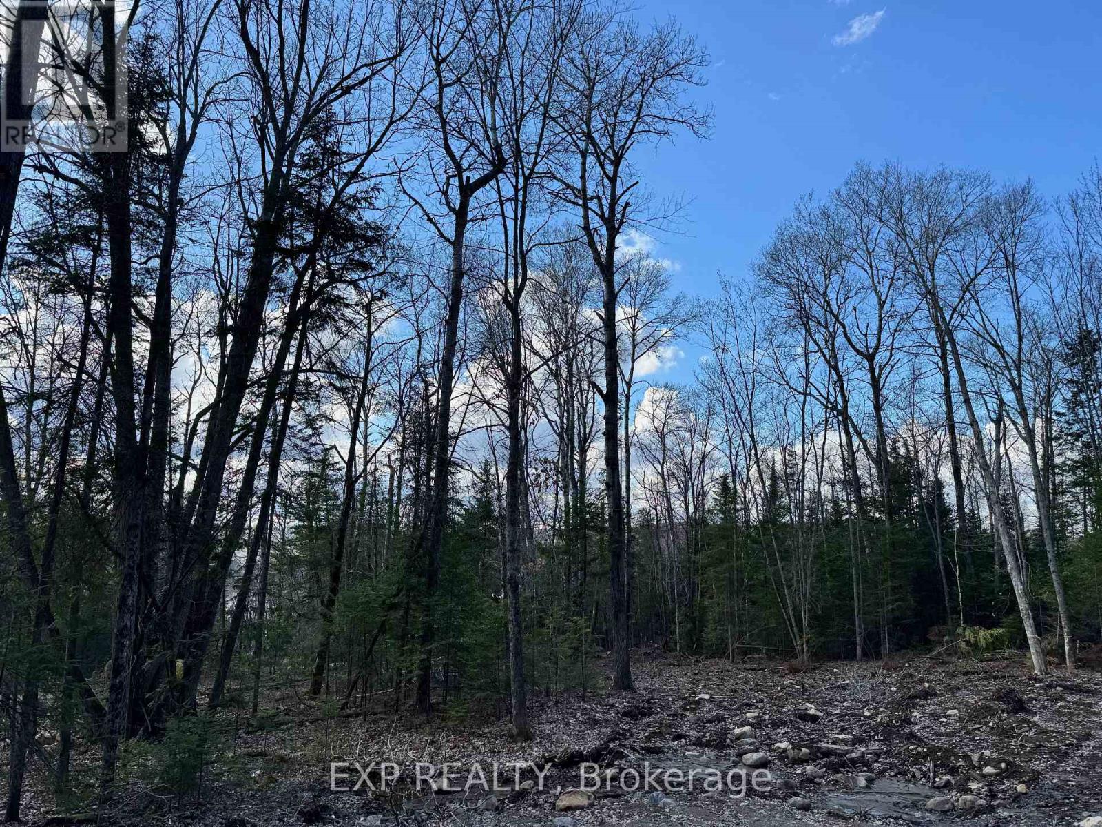 LOT 8 LAKEWOODS DRIVE